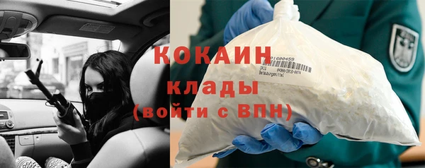 PSILOCYBIN Беломорск
