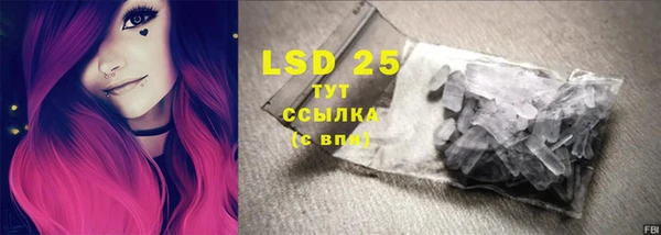 PSILOCYBIN Беломорск