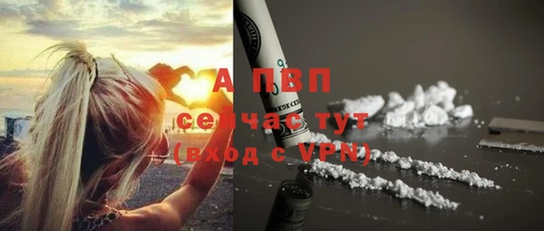 PSILOCYBIN Беломорск