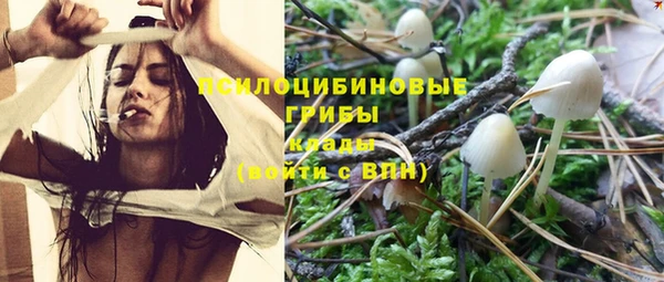 PSILOCYBIN Беломорск