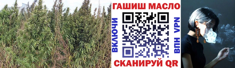 как найти закладки  Воркута  Дистиллят ТГК вейп 