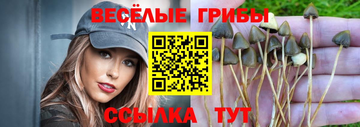 Воркута  Галлюциногенные грибы Psilocybine cubensis  Псилоцибиновые грибы Cubensis  Вход с VPN 